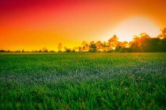 Full HD Nature Image Wallpaper For Pc Desktop Background