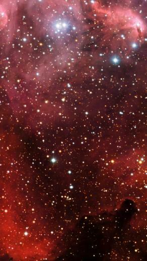Star Light Lion iPhone HD Wallpaper Space Background