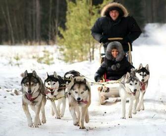 Dog Sledding Wallpaper High Quality