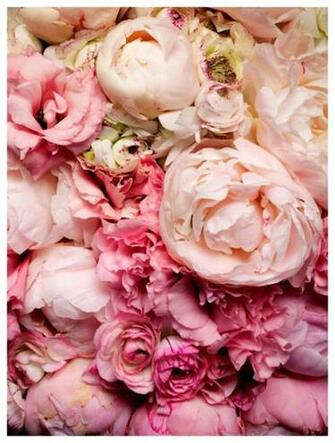Palest Blush Color In An Edwardian Inspired Dress Is Lovely Adore The