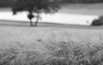 Black And White Wallpaper HD Scenic Landscape