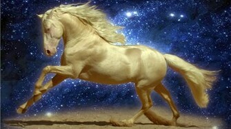 Desktop Horse And Make This HD Wallpaper For