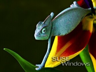 Fileserve File 869yjzc Wallpaper Rar