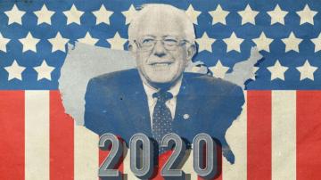 Bernie Wallpaper HD Background Itl Cat