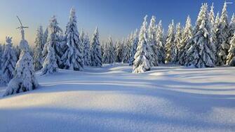 Peaceful Winter Day 4k Wallpaper HD