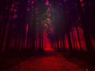Red Forest Wallpaper
