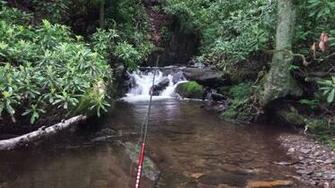 Tenkara