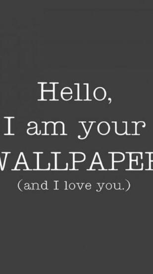 Humor Funny Word HD Wallpaper Desktop Background