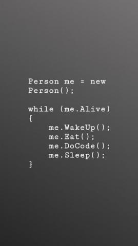 Web Development Services At Astral Informatics Programmers Life