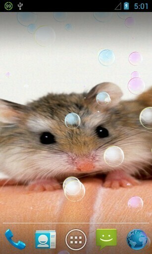 Funny Hamsters Live Wallpaper For Android By Root Game