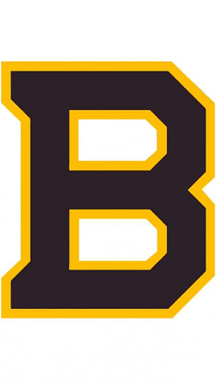 Boston Bruins Nhl iPhone Background