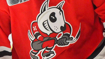 Ohl S Icedogs Owners Disgraced After Alleged Misconduct