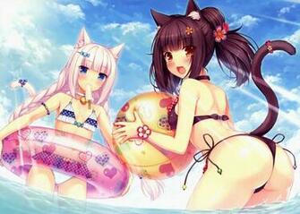 Anime Neko Para Wallpaper And Image Pictures Photos
