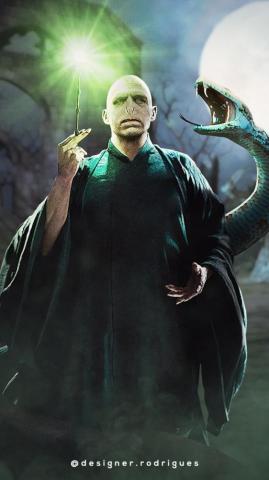 Voldemort And Nagini Arte Harry Potter Cartaz