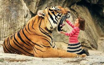Cool Tiger Background