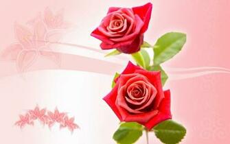Flower Wallpaper New Desktop Cool
