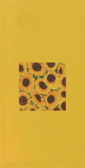 Sunflower Aesthetic iPhone Wallpaper