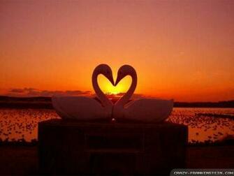 Love Nature Wallpaper