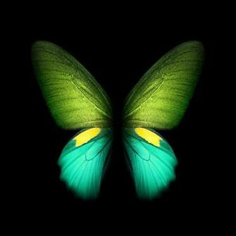 Galaxy Fold Wallpaper Video Still