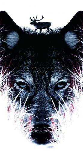 Wolf Wallpaper iPhone Image Pictures Becuo