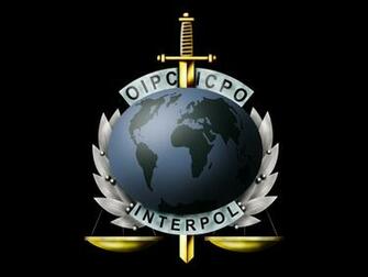 Operation Assange Anonymous Takes Down Interpol