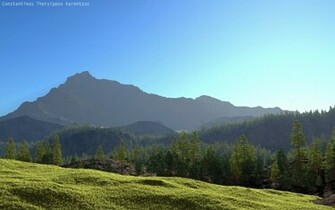 Forest Wallpaper Scene Scenery