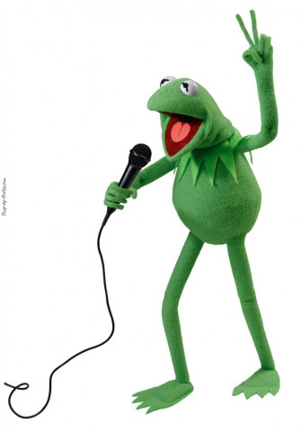 Miss Shajiang On Kermit The Frog Funny