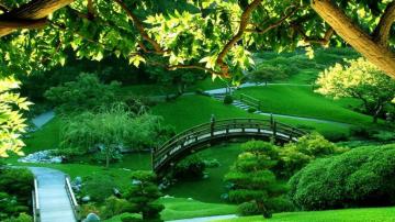 Green Park HD Wallpaper X Japanese Garden Most
