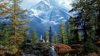 Majestic Mountain From The Forest HD Wallpaper