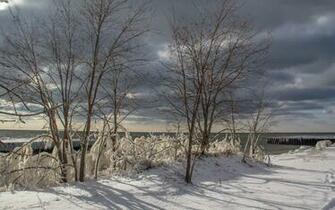Wallpaper Sunny Winter Day