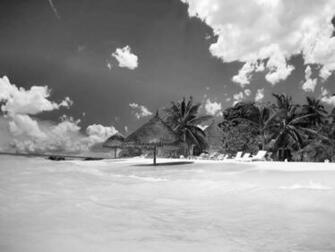 Black And White Wallpaper Beach Landscape HD