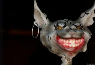 The Above Image Of For Use As Cheshire Cat Wallpaper