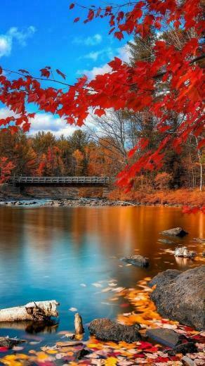 iPhone Nature Cool Wallpaper HD
