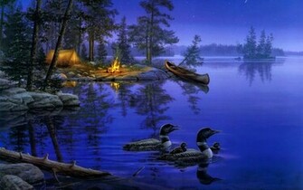 Good Night HD Wallpaper