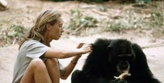 Animal Rights Activist Bi Double You