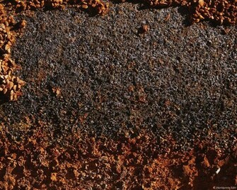 Desktop Wallpaper Textures