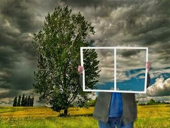 Weather Forecast Wallpaper