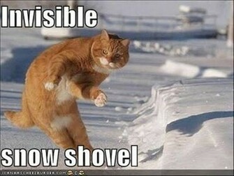 Screenshots Stuffpoint Lol Cats Image Pictures Invisible Snow Shovel