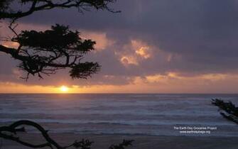 Widescreen Landscape Wallpaper X