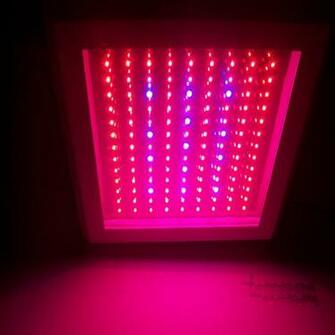Grow Lights