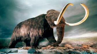 Mammut World Of Animals From The Past HD Wallpaper Wallpaper13