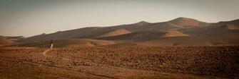 Israel Landscape Wallpaper Ref No Arad