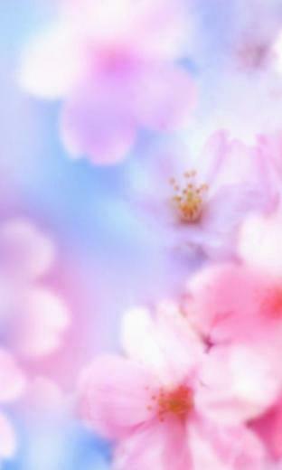 Wallpaper Reposit Pg Windows Phone Development And