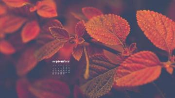 September Wallpaper Calendars For Desktop And Phones