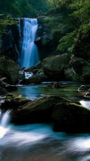 Nature Phone Wallpaper Top Background