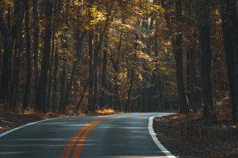 Open Road Asphalt Roadtrip Curvelines