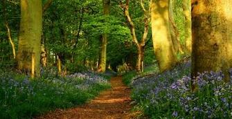 Spring Scenes Desktop Wallpaper HD Background Of Your