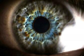 Eye Wallpaper High Resolution S