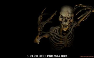 Cool Skeleton HD Wallpaper Skull