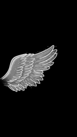 Wings For Boys Wallpaper In Cute Couple